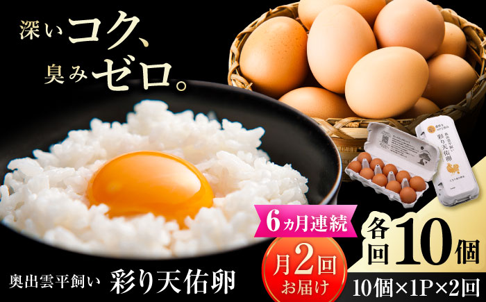 《月2回 × 10個 6ヶ月コース》 たたらの里平飼い 彩り天佑卵 全12回定期便 島根県雲南市/株式会社たなべたたらの里（たなべ森の鶏舎）｜たまご 卵 放牧卵 平飼い卵 新鮮 国産 定期便 [AIDL018]