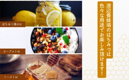 国産天然はちみつ 百花蜜 スタンドボトル 500g  | ハチミツ 蜂蜜【株式会社渡辺養蜂場】