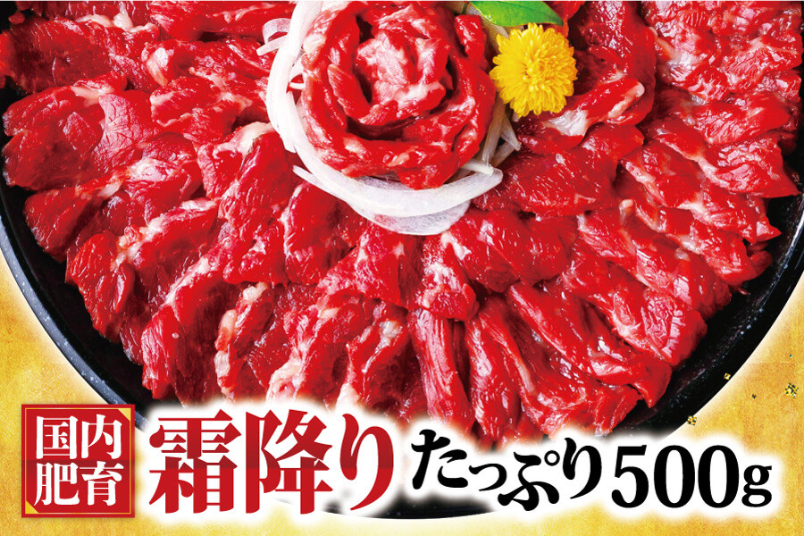 
            熊本馬刺し 霜降り たっぷり 約500g(約50g×10パック) 専用醤油付き
          