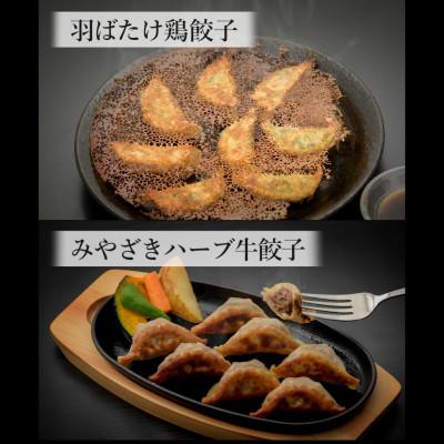 ふるさと納税 高鍋町 【餃子のまち高鍋】 冷凍餃子 食べ比べセット |  | 03