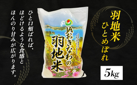 令和6年産　羽地米(ひとめぼれ)　5kg 名護 米 こめ おこめ 国産 沖縄 食品 おにぎり おいしい 独特 お取り寄せ 真空袋 食べ物 美味しい 自然 ご当地 県産 南国 なご 旨味