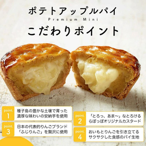 CQ-77　【6ヶ月定期便】らぽっぽファーム【工場直送】窯出しポテトアップルパイ（4個入）