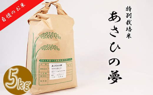 ≪令和6年産≫ 新米 垂井町産 あさひの夢 5kg