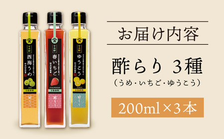 【飲む玄米酢】酢らり 3本セット（うめ・いちご・ゆうこう）＜川添酢造＞[CDN128]