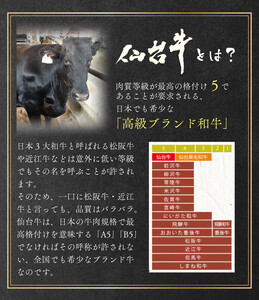 肉質最高5ランク 仙台牛100%ハンバーグ120g×10個セット 1.2 kg　(ゆずぽん酢醤油付き)【肉 お肉 にく 食品 人気 おすすめ  ギフト】