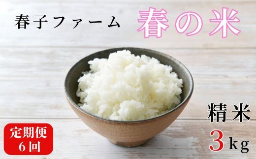 《令和7年産》【定期便6ヶ月】春の米　精米　3kg ／ 米 お米 こめ コメ ごはん 無農薬 農薬不使用 春の米 精米 白米 令和7年産 新米 3kg 定期便 千葉県 東庄町 春子ファーム 産地直送 産直 送料無料