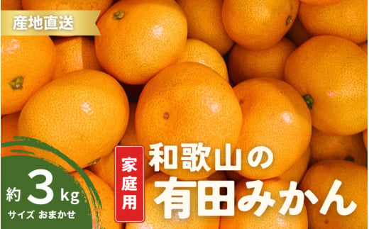 【1月発送】家庭用 有田みかん 和歌山 訳あり わけあり S～Lサイズ 大きさお任せ 3kg / みかん フルーツ 果物 くだもの 有田みかん 蜜柑 柑橘【ktn006B-1】