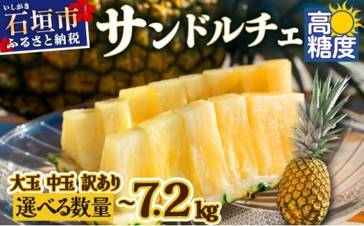 
            《2025年夏季 順次発送》【通常・訳あり】【選べるサイズ】石垣島産 サンドルチェパイン 約3.5～4kg 【SI-28/SI-41/SI-42/SI-43/SI-106/SI-107/SI-108/SI-109】
          