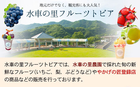 先行予約 産地直送 豊水梨 約4kg (9~10玉前後) 水車の里フルーツトピア 期間限定 岡山県 矢掛町 なし 果物 スイーツ フルーツ デザート《9月上旬-10月上旬頃出荷》