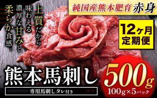【12ヶ月定期便】馬刺し 赤身 馬刺し 500g【純 国産 熊本 肥育】たっぷり タレ付き 生食用 冷凍《申込み月の翌月から出荷開始》送料無料 国産 絶品 馬肉 肉 ギフト 定期便