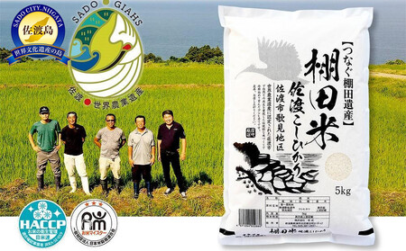 米 コシヒカリ 佐渡産 ( 5kg ) 棚田米 佐渡市歌見地区【令和7年米】