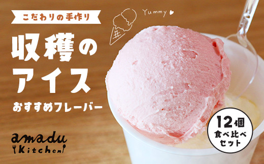 
                  収穫のアイス おすすめフレーバー食べ比べ12個セット(ミルク・イチゴ・ほうじ茶・抹茶・丹波栗・丹波黒豆×各2カップ)【fc-CP003】【あまづキッチン】
                