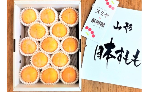 すもも（峰満イエロー）２ｋｇ　特秀品　0047-2608