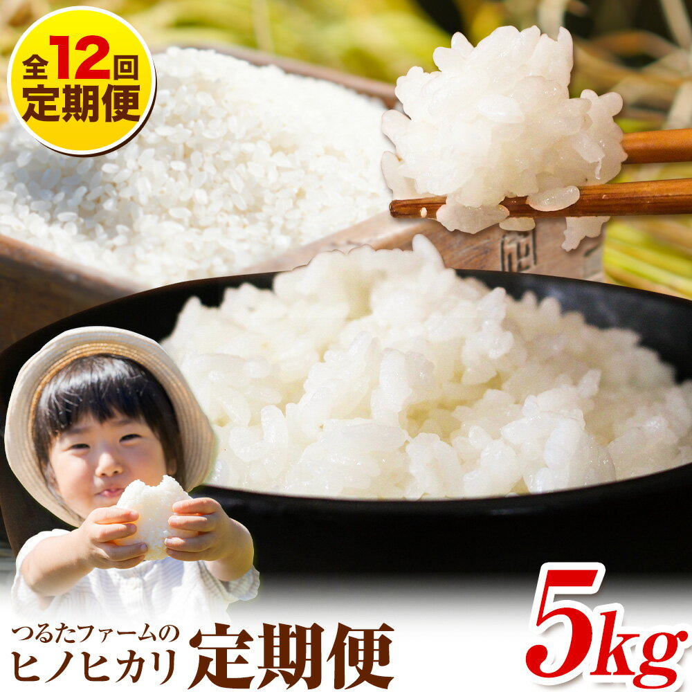 【ふるさと納税】【12回定期便】つるたファームのヒノヒカリ定期便 選べる 特別栽培米 自然栽培米 5kg ヒノヒカリ 株式会社七城の恵み《お申込み翌月から出荷》熊本県 菊池市 米 ひのひかり 定期便 つるたファーム