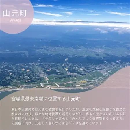 【返礼品なし】山元町への応援寄付 一口1,000円【配送不可地域：離島】