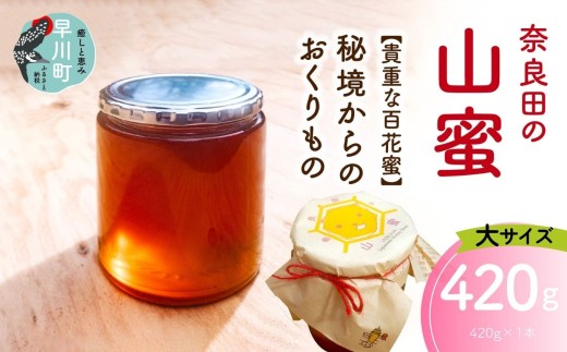 奈良田の山蜜 420g はちみつ 蜂蜜 ハチミツ 山蜜 百花蜜 国産はちみつ 国産蜂蜜 天然はちみつ 非加熱はちみつ 奈良田 山梨県 早川町 南アルプス 山の恵み 天然林 花の蜜 希少 はちみつギフト 自然食品 甘味料