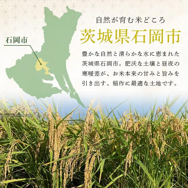 【令和8年産先行予約】獅子米まんげつもち（玄米）30kg B02-104