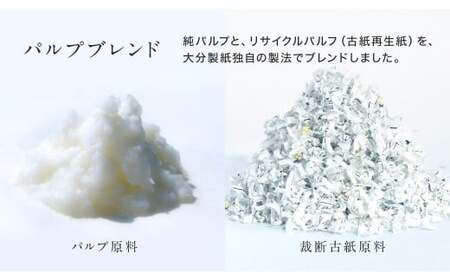 【隔月6回定期便】ふんわりやさしい長さ2倍巻き 50ｍダブル 12ロール×4パック 計48ロール トイレットペーパー 日用品 日用雑貨 紙 生活必需品 備蓄 災害 防災 まとめ買い 国産 九州 福岡県