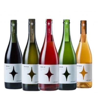 ふるさと納税 甲州市 フジクレール 野遊びワインシリーズ LADY beetle 計5本セット H-665