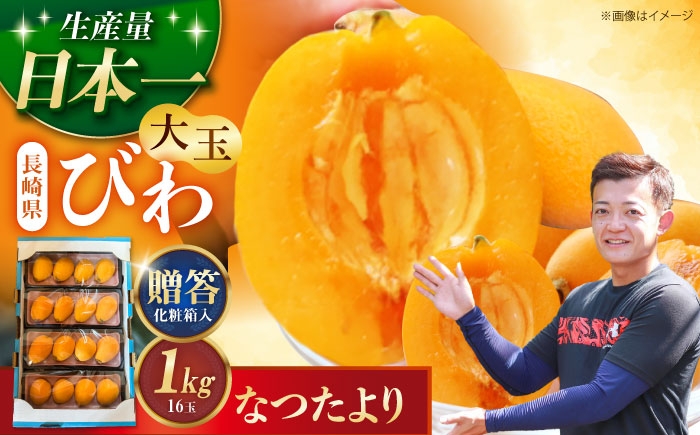 
                  長崎県産びわ なつたより 1kg(16玉) 【先行予約/5月～発送】長崎県/森保農園 [42AACO003] ビワ 枇杷 果物 フルーツ  露地 ナツタヨリ 贈答
                