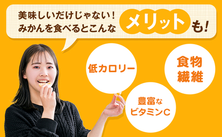 みかん 早味かん 約4kg  南国フルーツ株式会社《9月中旬-9月下旬頃出荷》福岡県 鞍手町 福岡県産 みかん 早味かん フルーツ 果物 st-p