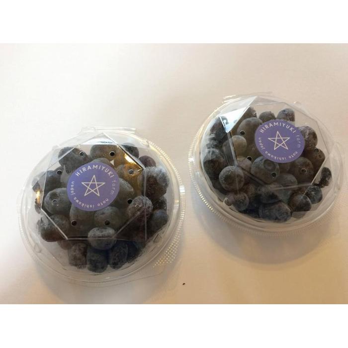 【ふるさと納税】【復興支援】【先行予約】生・能登ブルーベリー200gパック×2つ | 石川県 能登町 石川 能登 石川県能登町 ふるさと 納税 支援 支援品 返礼 食べ物 お取り寄せ グルメ ご当地 ご当地グルメ 詰め合わせ ブルーベリー 特産品 名産