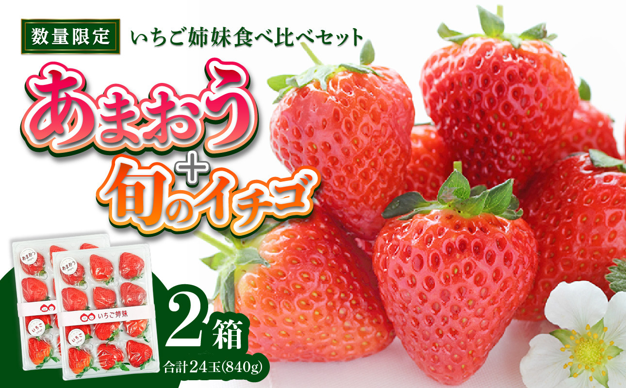 
＜2025年1月～発送＞いちご姉妹【あまおう＋旬のイチゴ】食べ比べセット★数量限定★
