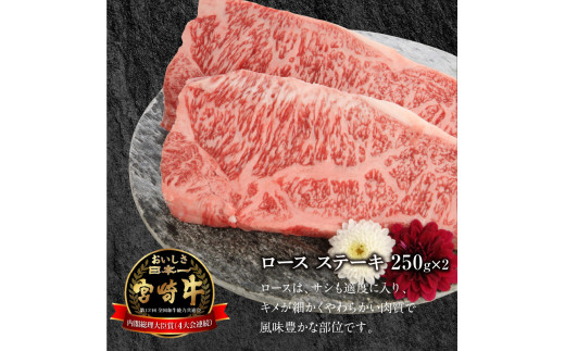 宮崎牛 ロース ステーキ 250g×2 計500g　N0147‐B426