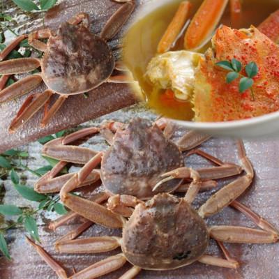 ふるさと納税 北栄町 【先行予約】【活】足折れご自宅用　日本海獲れたて親ガニ(セコガ二)3枚　※11月中旬から順次発送