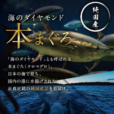 ふるさと納税 越前市 本まぐろ 赤身 750g(柵どり) |  | 01