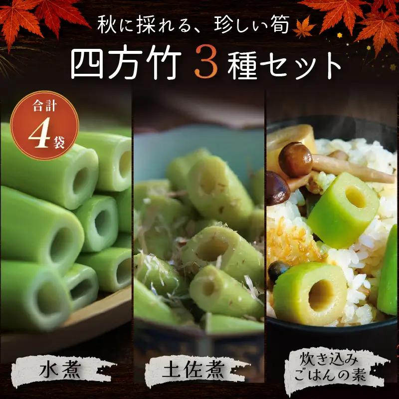 【9月まで 受付限定】 国産 四方竹 づくし 3種セット 水煮 土佐煮 炊き込みごはんの素 計4袋 (2026年11月～発送) | シホウチク 筍 たけのこ 特産 珍味 希少 高知 南国市
