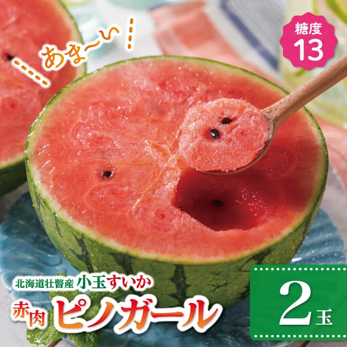 【2027年8月上旬頃より発送】小玉すいか（ピノガール）2玉 約3kg  スイカ 北海道壮瞥産 新山すいか SBTN004