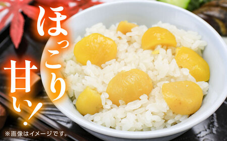 むき栗 約2kg（約1kg×2袋） 【株式会社あんず】[ZBT015]