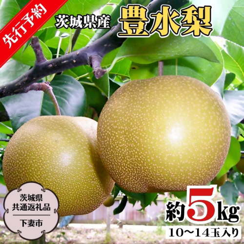 【 先行予約 】 茨城県産 豊水 梨5kg 10玉～14玉入り   (茨城県共通返礼品 ／下妻市） ( 2024年8月上旬発送開始 )  梨 数量限定 なし ナシ フルーツ 果物 旬 産地直送 JA 