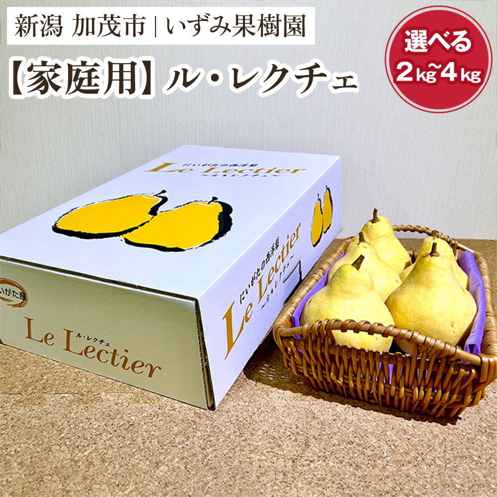 【ふるさと納税】【2025年先行予約】【家庭用】西洋梨ル・レクチェ 選べる 2kg〜4kg〈11月下旬～順次出荷〉 ルレクチェ ル・レクチエ ルレクチエ 幻の洋梨 フルーツ 贈答 冬の味覚 加茂市 いずみ果樹園