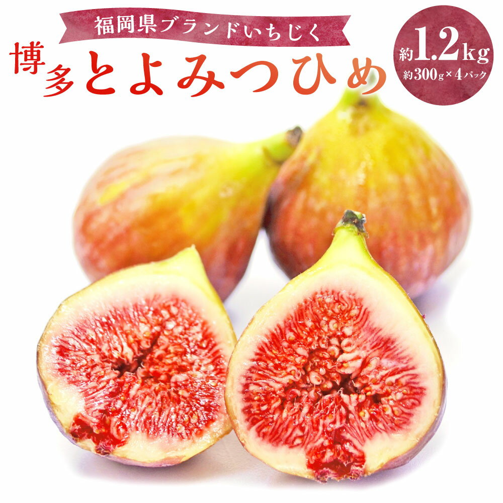 【ふるさと納税】福岡県 ブランドいちじく 「博多とよみつひめ」 計約1.2kg（約300g×4パック） イチジク 無花果 くだもの 果物 果実 フルーツ 果肉 糖度17度 冷蔵 福岡県産 国産 福岡県 香春町 送料無料 【2026年8月下旬～2026年10月下旬発送予定】
