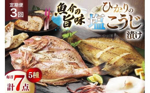 漬け魚 漬魚 塩麹 塩こうじ 魚介 詰め合わせ 3回 定期便 ひかりの塩麹 5種 セット [ひかり 長崎県 平戸市 hr42bgy420401] お茶漬け 焼き魚 焼魚 鯛 鯛めし ヤリイカ 海鮮 漬け づけ 漬け丼 鮮魚 お取り寄せ ギフト 魚 切り身 冷凍 真空 真空パック 個包装 小分け お取り寄せ