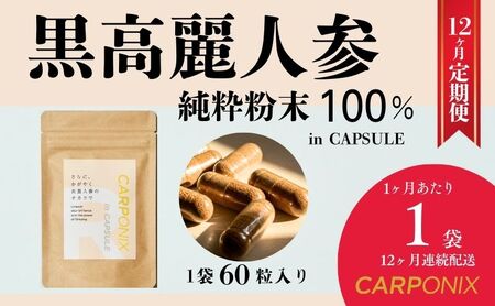 黒高麗人参「CARPONIX」60粒入り×1袋 【定期便 12ヶ月】 サプリメント サプリ 黒高麗人参 カプセル ジンセノサイド 千葉市