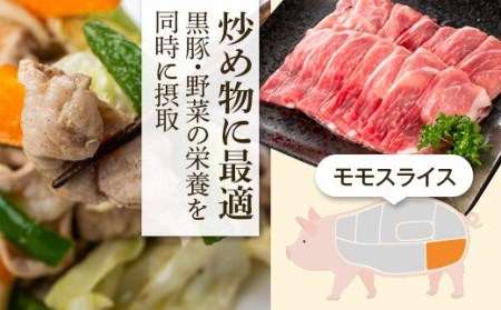 【B02080】黒豚ふるさとセット(合計約1.9kg)黒豚餃子(12個入)付き！ 鹿児島 国産 九州産 黒豚 豚肉 お肉 バラ 肩ロース ロース モモ スライス 餃子 ぎょうざ 焼肉 しゃぶしゃぶ す