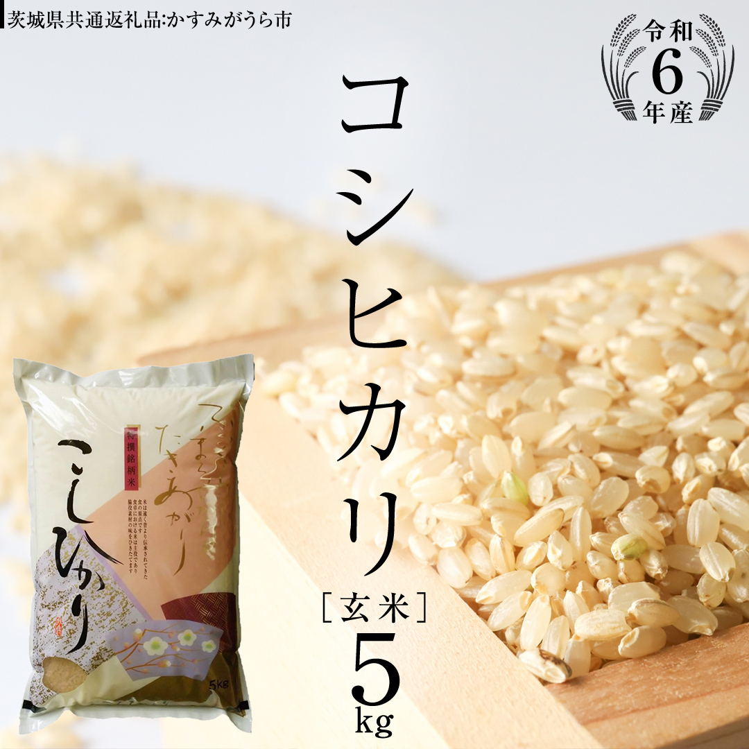 【 令和6年産 】 コシヒカリ 玄米 5kg ( 5kg × 1袋 ) (茨城県共通返礼品 かすみがうら市) 米 ごはん もっちり 甘い コメ お米 玄米 [EX003sa]