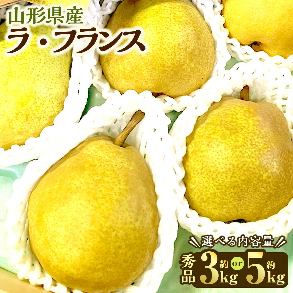 【ふるさと納税】【選べる容量】 山形県産 ラ・フランス 約3kg 約5kg 秀品 【2025年12月上旬～12月下旬発送予定】 洋梨 ラフランス 西洋梨 洋ナシ 洋なし ようなし 果物 くだもの フルーツ 山形 送料無料