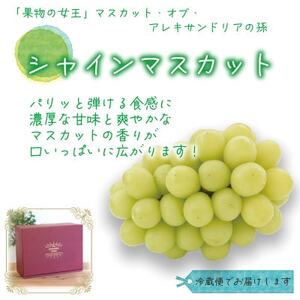岡山　花笑み農園の『シャインマスカット』贈答用　約2kg(3～4房)　S-2【9月下旬～順次発送】【配送不可地域：離島・北海道・沖縄県】【1626806】