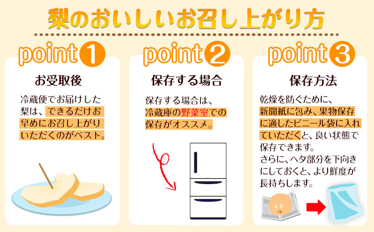 梨 完熟梨 和梨 なし フルーツ 果物 旬 秋 ( 幸水 凛夏 あきあかり 秋麗 あきづき 豊華 新高 新興 のいずれか) 約4.5~ 5kg (8～14玉) 熊本県長洲町産 竹下果樹園《8月中旬-1