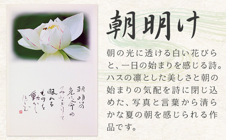 絵 書 書道 アート 季節の絵と書 朝明け 楠戸宇亭《90日以内に出荷予定(土日祝除く)》岡山県 笠岡市 送料無料 美術 作品 日本画 絵 インテリア