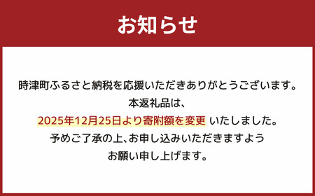 長崎県 時津まんじゅう 10個入り×4パック 計40個 こしあん 名物 銘菓