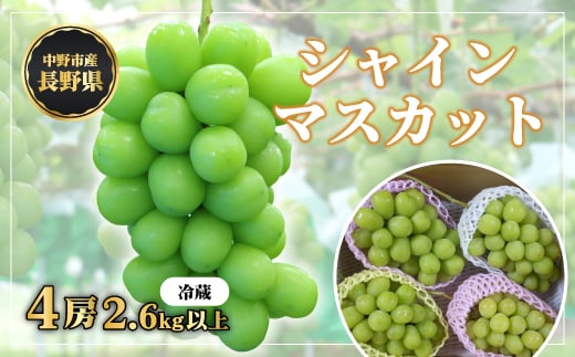 
            長野県中野市産　冬でも食べれる　シャインマスカット4房(2.6kg以上)_ マスカット ぶどう ブドウ 葡萄 フルーツ 果物 くだもの 人気 美味しい ふるさと 中野市 ギフト プレゼント 贈り物 ＜配送不可地域：離島＞【1331183】
          