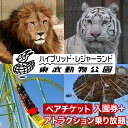 【ふるさと納税】東武動物公園【入園券＋アトラクションパス（ペア）】動物園 遊園地 植物園 プール イルミネーション レジャー テーマパーク 遊び お出かけ 旅行埼玉県 白岡市 送料無料【11246-0238】