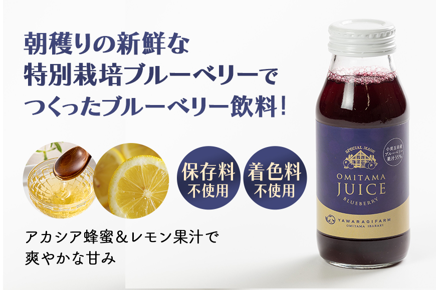 果汁35％ブルーベリー飲料24本 9-O