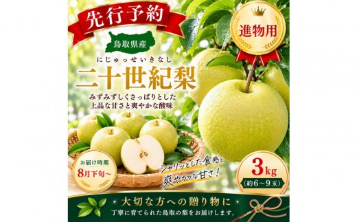 三ツ田農園 二十世紀梨(赤秀)3kg【8月下旬以降お届け】