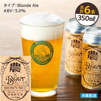 TDM 1874 Brewery クラフトビール 農×Beer(のびーる)はるみ玄米 350ml×6